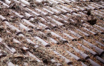 Little Ellingham roof cleaning companies